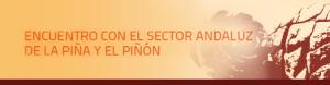 Encuentro con el Sector Andaluz de la Piña y el Piñon