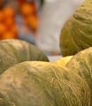 Melonomics, un megaproyecto para recuperar e incrementar la calidad de los melones tradicionales