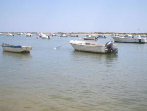 El sector pesquero andaluz recibirá 4,5 millones en ayudas por la parada temporal