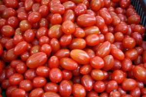 Las industrias triturarán dos millones de toneladas de tomate este año