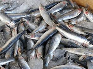 Las ventas de sardinas en lata registraron una fuerte caída en Europa en 2011