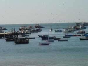 Luis Planas aborda con el sector pesquero la reforma de la PPC pactada en la UE