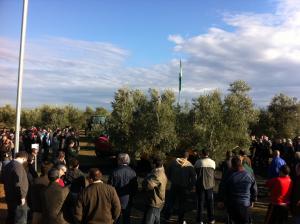 Más de 2.000 agricultores y profesionales del sector olivarero asisten en Jaén a la XXIV Demostración Internacional de Recolecc