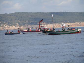 Andalucía apoyará al Ministerio para solicitar un incremento de las capturas de atún rojo 