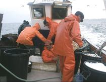 Adelantado al 31 de julio el final del plazo de solicitudes para varias ayudas pesqueras