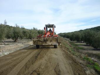 Agricultura concede más de 52,3 millones de euros para mejoras en caminos rurales