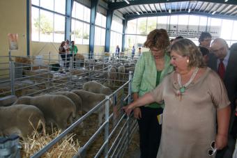 Aguilera destaca el papel de la raza ovina segureña en el desarrollo económico de Huéscar