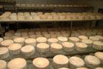 Aguilera resalta el potencial de las queserías artesanales para convertirse en una de las agroindustrias 'más singulares'