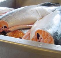 Almería aumenta un 57% el volumen de exportaciones de pescado y marisco