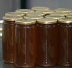 Andalucía prevé producir entre cinco y seis millones de kilos de miel