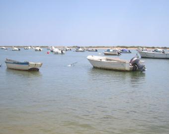 Aprobada la distribución de 2,3 millones de euros para el sector pesquero español