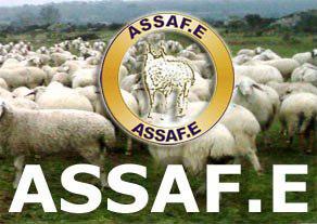 ASSAFE, Asociación de criadores de ganado ovino de la raza Assaf