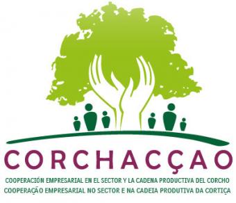 Corchacçao, Cooperación empresarial en el sector y la cadena productiva del corcho