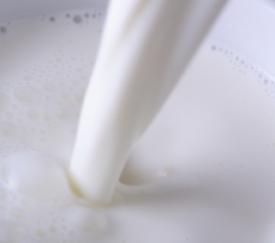 El aumento de la producción de leche en la UE continuará en 2011