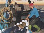 El BOE publica la convocatoria de ayudas para el fomento de la formación nautico-pesquera