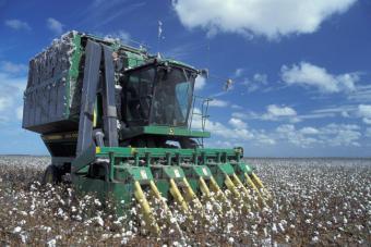El consumo mundial de algodón crecerá un 3,5% hasta alcanzar los 23,5 millones de toneladas