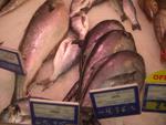 El FROM inicia una campaña sobre el etiquetado de productos de pesca en 51 mercados