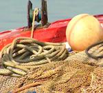 El Gobierno andaluz delimita la zona de competencias de pesca marítima en el río Guadalquivir