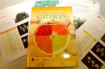 El libro Las variedades de cítricos recoge la historia de la citricultura y más de 140 fichas varietales de mandarinas, naranja