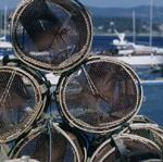 El MARM distribuye más de 3 millones de euros de la Administración del Estado para el sector pesquero español