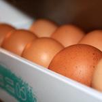 El MARM prevé que la producción de huevos crezca un 11% en los nueve primeros meses de 2010