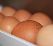 El MARM prevé que la producción de huevos suba un 7,8% hasta julio de 2010
