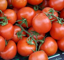 El PE promoverá cambios en los precios de importación de frutas y hortalizas