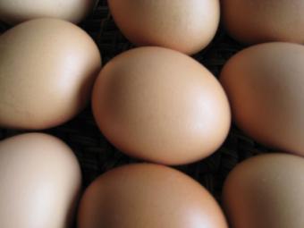 El precio de los huevos en origen sube un 186% interanual en abril