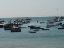 El Secretario General del Mar defiende que la futura Política Pesquera Común asegure una gestión diferenciada de la pesca artes