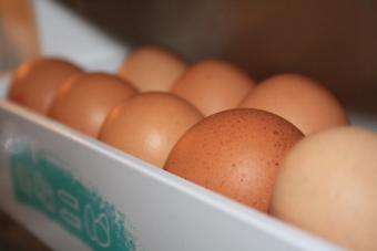 El sector del huevo considera que las normas de la UE y los acuerdos comerciales amenazan su competitividad