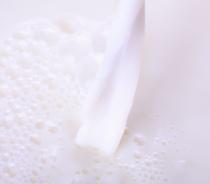 El sector lácteo asume que el contrato sea obligatorio pero seguirá negociando el modelo