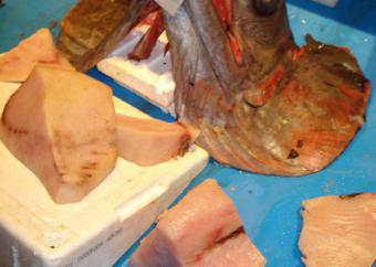 El sector pide a Aesan que rectifique su opinión sobre el consumo de pescado