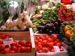 España importó frutas y hortalizas por 863 millones de € hasta julio, un 8% más