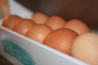 España pierde un 30% de su producción de huevos por el bienestar animal