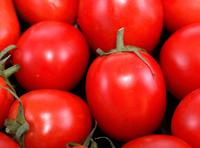 España trabaja con Francia para aumentar los controles a los tomates de Marruecos