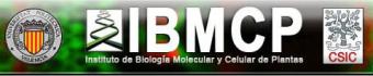 IBMCP, Instituto de Biología Molecular y Celular de Plantas