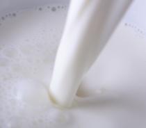 La CE constata una mejora en la situación del mercado de la leche