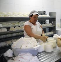 La elaboración de quesos ecológicos, eje del primer curso de Quesandaluz Emplea Verde