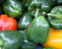 La exportación hortofrutícola suma 4.123 millones hasta mayo