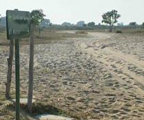 La Junta trasladará al Ministerio de Medio Ambiente un requerimiento para que modifique el deslinde de Doñana