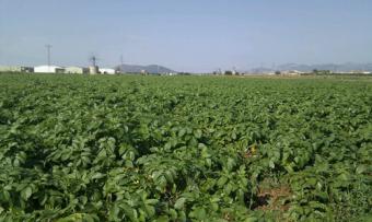 La Ministra Rosa Aguilar reitera que la propuesta de reforma de la PAC afecta gravemente a la agricultura productiva española y