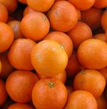 La naranja dulce y la mandarina, los principales cítricos de la comunidad andaluza con el 90% de la producción