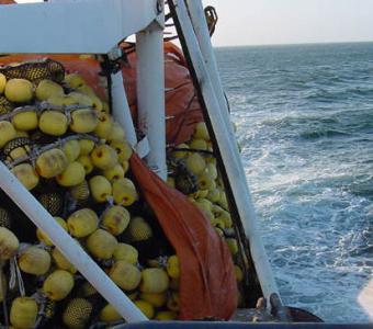 La UE acuerda las cuotas de pesca en aguas profundas para 2011 y 2012