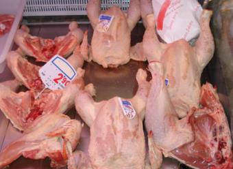 La UE aumentó un 24 por ciento sus exportaciones de carne de ave en 2010