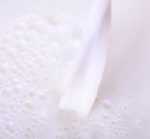 La UE pide una ley que facilite al ganadero negociar el precio de la leche