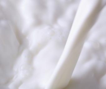 Las entregas de leche suben 2,5 % en primeros diez meses de campaña 2010/11