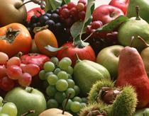 Las exportaciones de fruta bajaron un 7,2% y las de verduras un 12,4% en 2009
