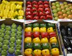 Las exportaciones hortofrutícolas caen un 12% en volumen y un 9% en valor en octubre