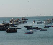 Los armadores de arrastre del Golfo de Cádiz inician una parada biológica de 45 días