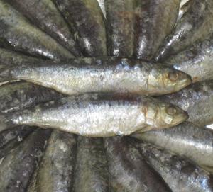Los limones y las sardinas, los productos que más bajaron en noviembre
